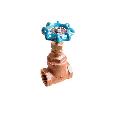 2-1/2" Full Port Gate Valve Bras