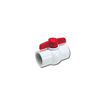 2" White PVC Ball Valve S X S