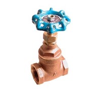 2-1/2" Full Port Gate Valve Bras