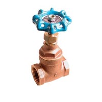 2-1/2" Full Port Gate Valve Bras