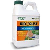 RID O' RUST EXTREME STAIN 2X OLD